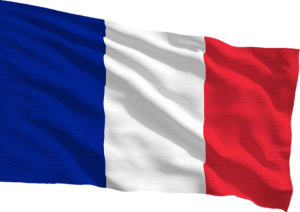 French Tank Remodels